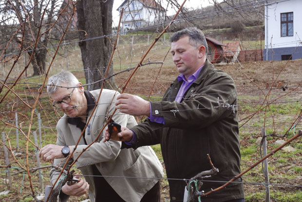 Свети Трифун у сваком дому